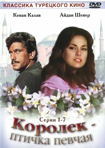 Постер Королёк – птичка певчаяÇ (1986)