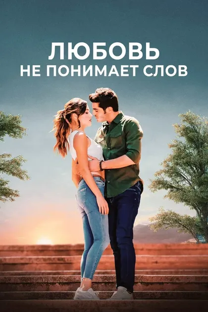Постер Любовь не понимает слов (2016)